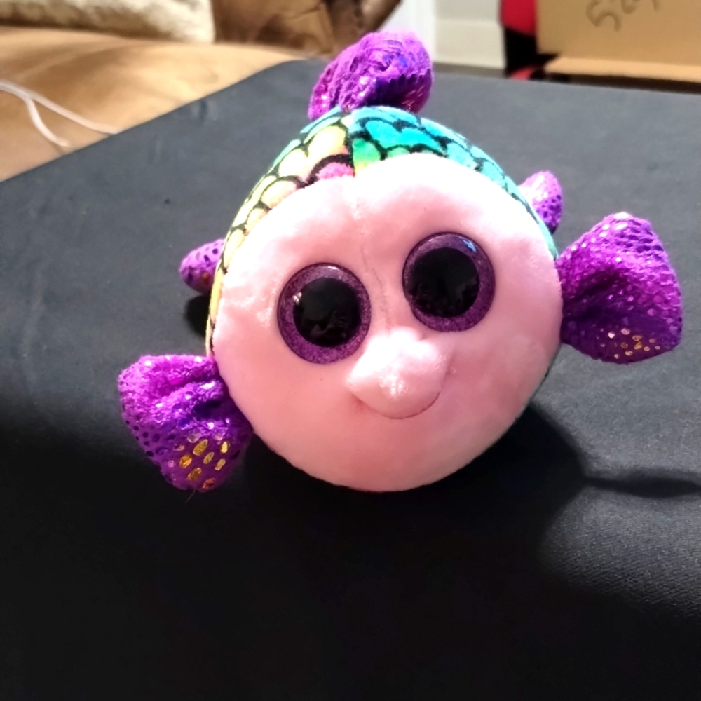 small sized rainbow goldfish beany boo
